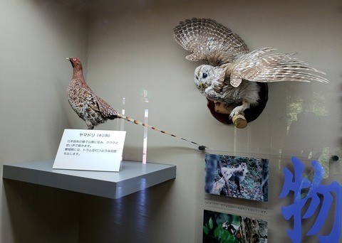 青森３　動物０５