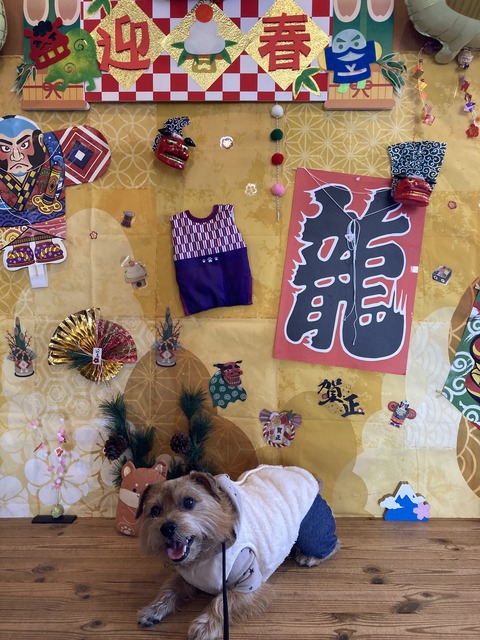 IMG_7986 - コピー