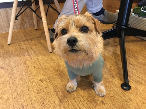 IMG_3156 - コピー