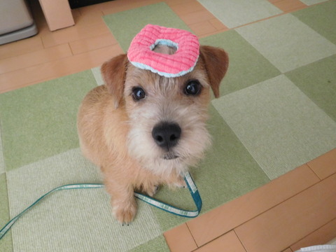 DSCN4515 - コピー