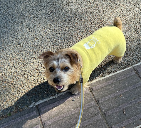 IMG_9749 - コピー