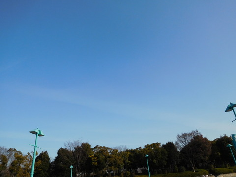 DSCN2917 - コピー