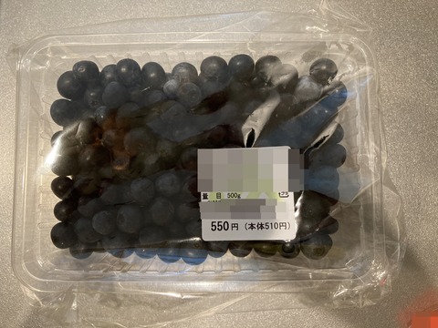 IMG_9564 - コピー