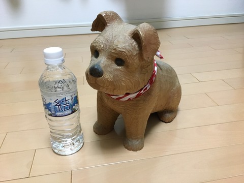 IMG_2106 - コピー