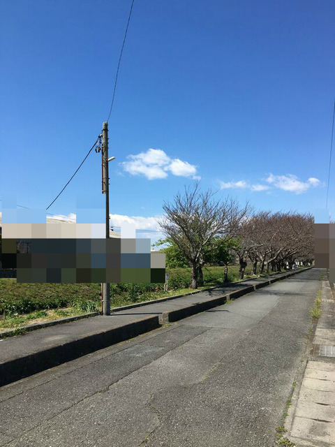 BlogPaint