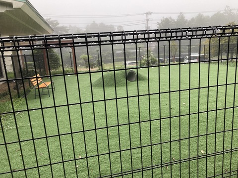 IMG_7702 - コピー