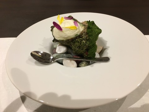 IMG_1746 - コピー