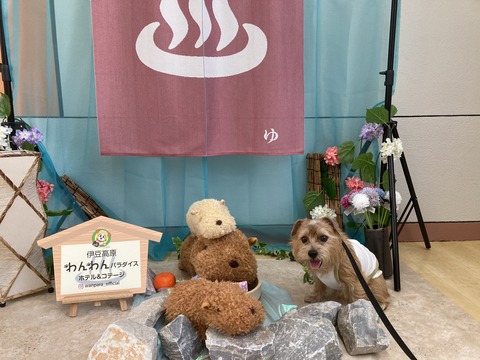 IMG_7647 - コピー