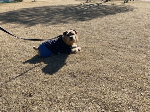 IMG_7924 - コピー