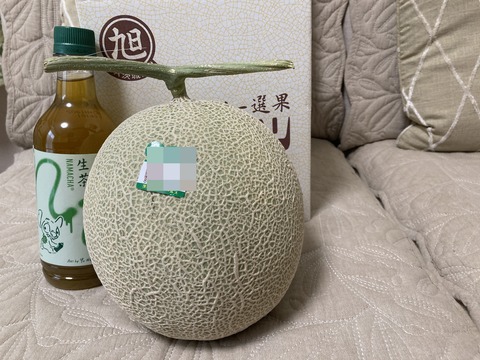 IMG_9602 - コピー