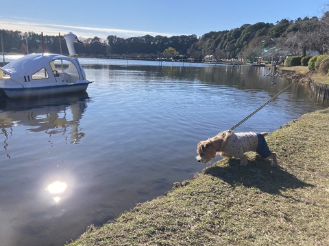 IMG_8993 - コピー