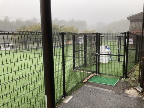 IMG_7703 - コピー