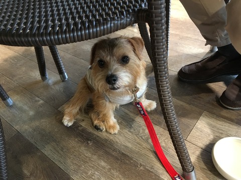 IMG_1977 - コピー