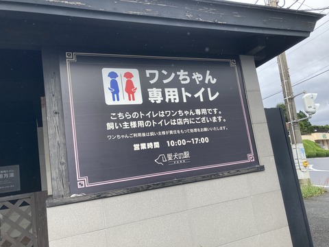 IMG_7616 - コピー