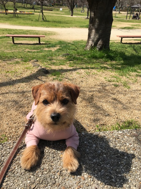 IMG_0572 - コピー