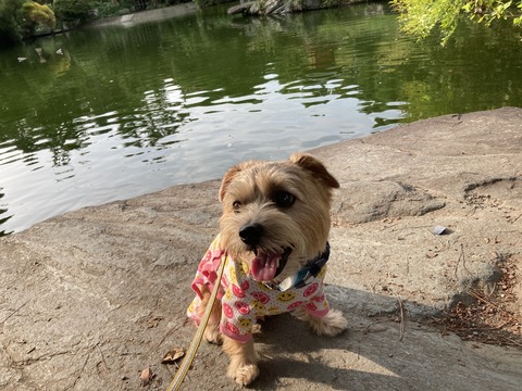 IMG_9599 - コピー