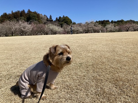 IMG_3915 - コピー