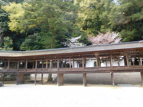 DSCN1216 - コピー