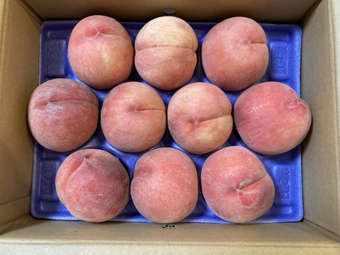 IMG_8767 - コピー