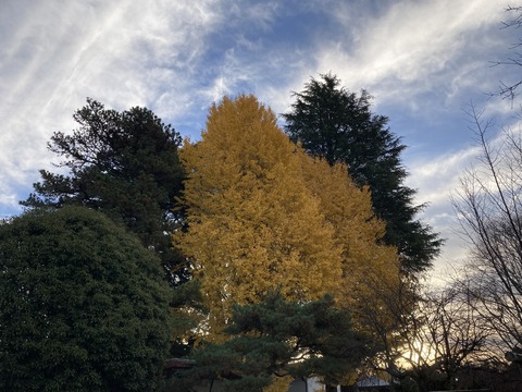 IMG_9694 - コピー