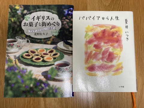 IMG_9522 - コピー