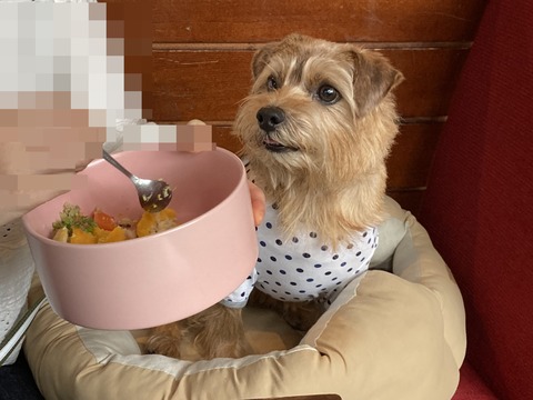 IMG_3952 - コピー