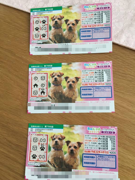 かわいすぎる わんにゃんスクラッチ 40代 転勤妻の心地よい暮らし