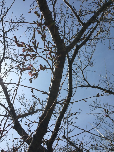 IMG_0570 - コピー