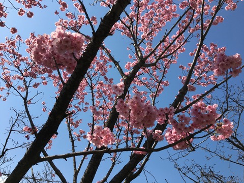 IMG_0588 - コピー