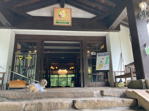 IMG_8462 - コピー