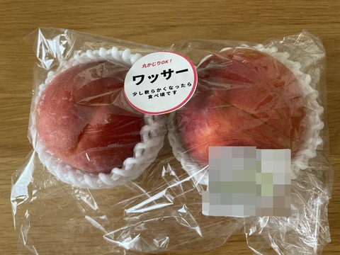 IMG_9558 - コピー