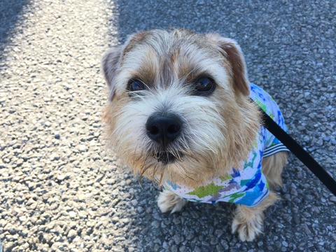 IMG_4679 - コピー