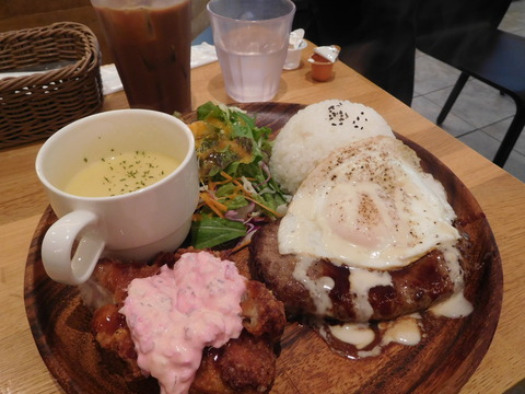 DSCN4095 - コピー