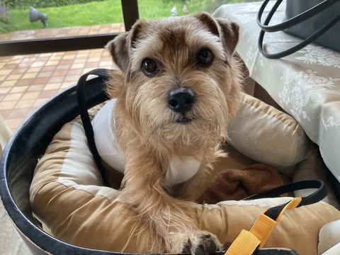 IMG_7707 - コピー