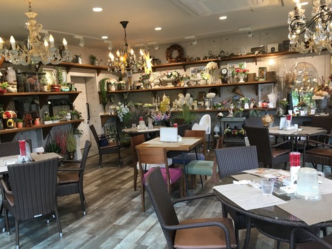 IMG_1972 - コピー