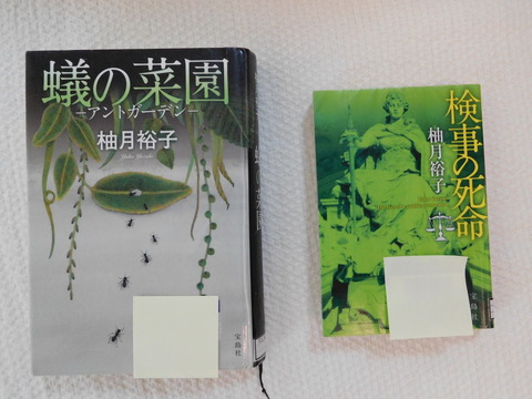 DSCN3474 - コピー