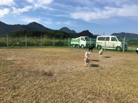 IMG_4923 - コピー