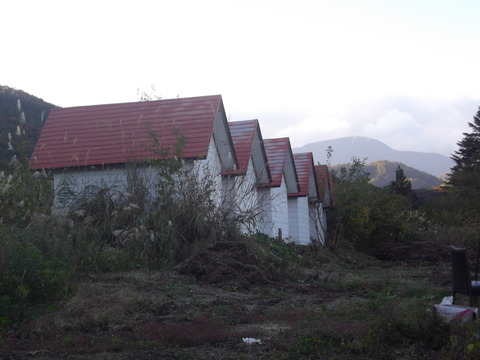 IMGP1465