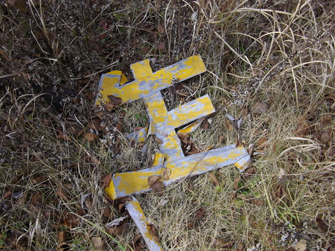 IMGP0377
