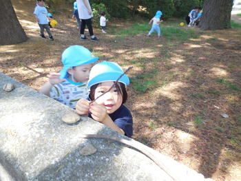 DSCN5464