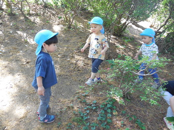 DSCN5455