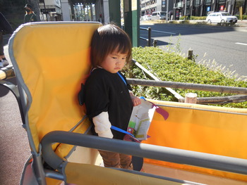 DSCN6539
