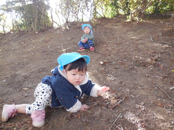 DSCN6619