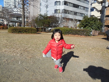 DSCN6993