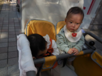 DSCN6517