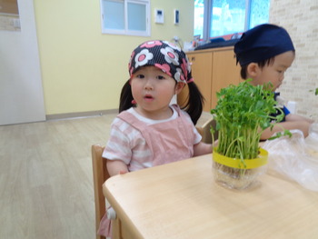 DSC00339