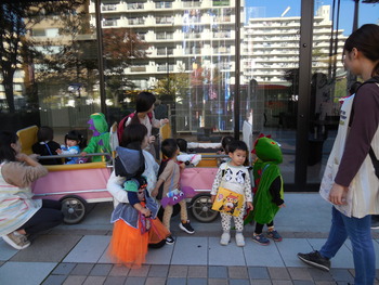 DSCN6554