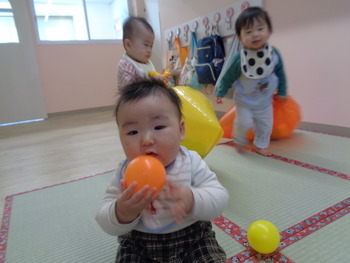 DSC01954