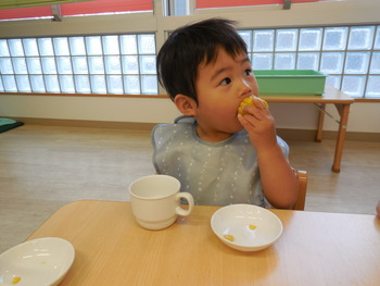 DSCN6011