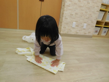 DSCN6752